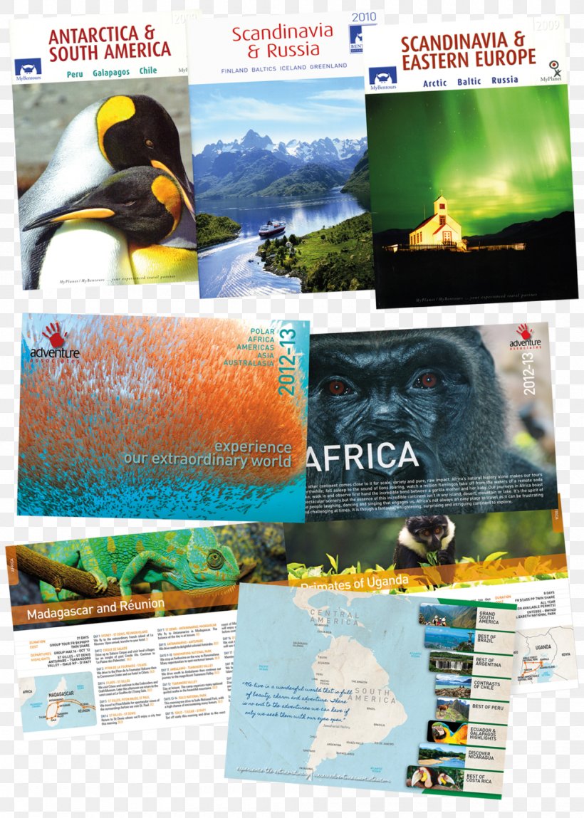 Graphic Design Advertising Poster Adventure Travel, PNG, 1000x1402px, Advertising, Adventure, Adventure Travel, Brand, Brochure Download Free