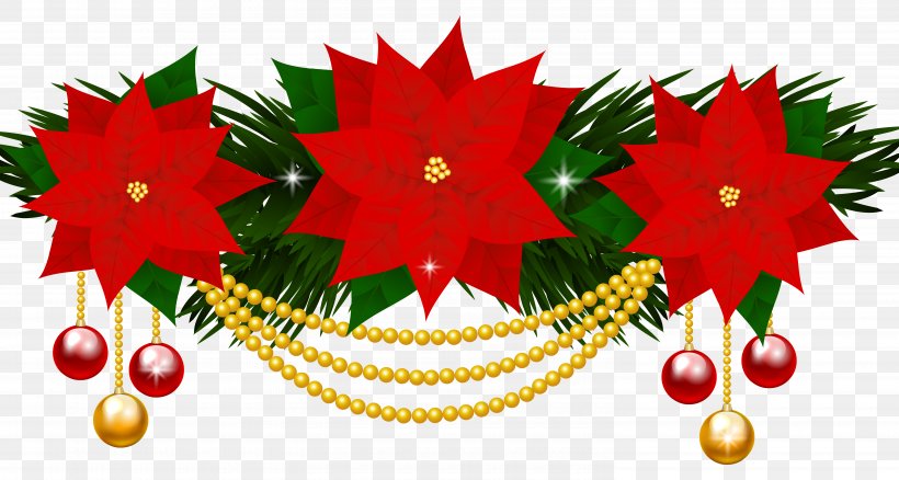 Poinsettia Flower Christmas Clip Art, PNG, 5980x3196px, Poinsettia, Art, Christmas, Christmas Decoration, Christmas Ornament Download Free