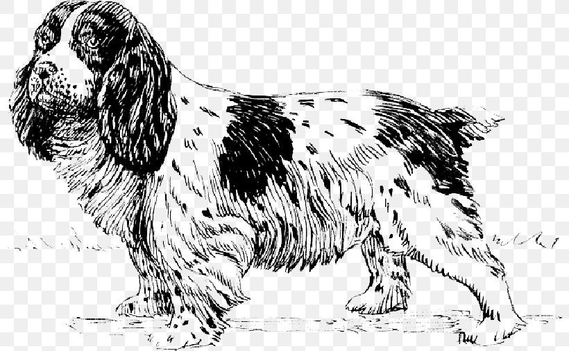 Clip Art Vector Graphics Cocker Spaniel, PNG, 800x507px, Spaniel, Boxer, Canidae, Carnivore, Cartoon Download Free