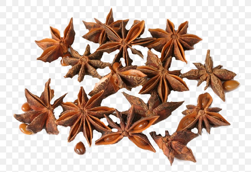 Star Anise Spice Tarragon Oil, PNG, 800x564px, Star Anise, Anise, Cinnamon, Essential Oil, Fennel Download Free