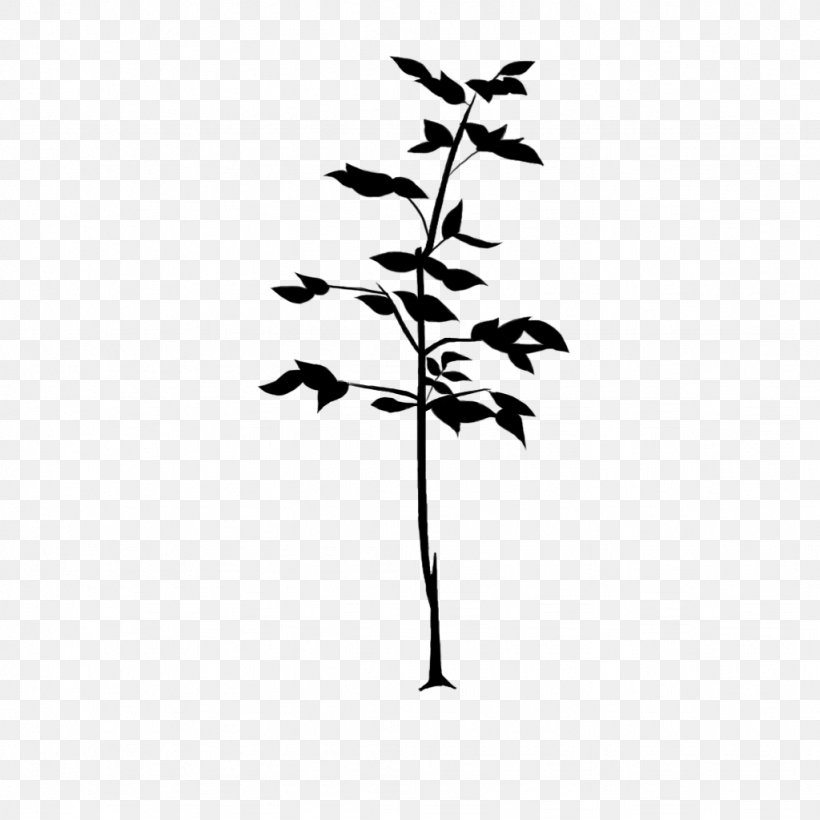 Twig Plant Stem Flower Leaf Font, PNG, 1024x1024px, Twig, Blackandwhite, Botany, Branch, Flower Download Free