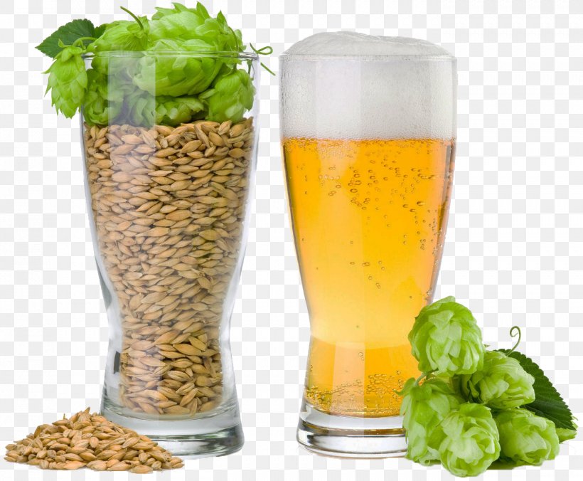 Beer Brewing Grains & Malts Beer Brewing Grains & Malts Common Hop Brewery, PNG, 1353x1116px, Beer, Ale, Barley, Barley Malt, Beer Brewing Grains Malts Download Free
