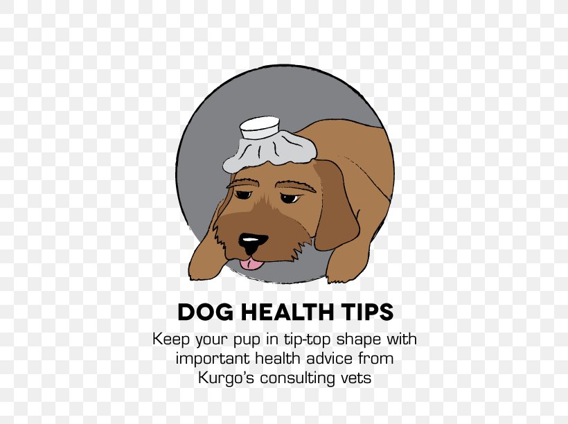 Puppy Dog Training Kurgo Dog Health, PNG, 432x612px, Puppy, Carnivoran, Cartoon, Dog, Dog Health Download Free
