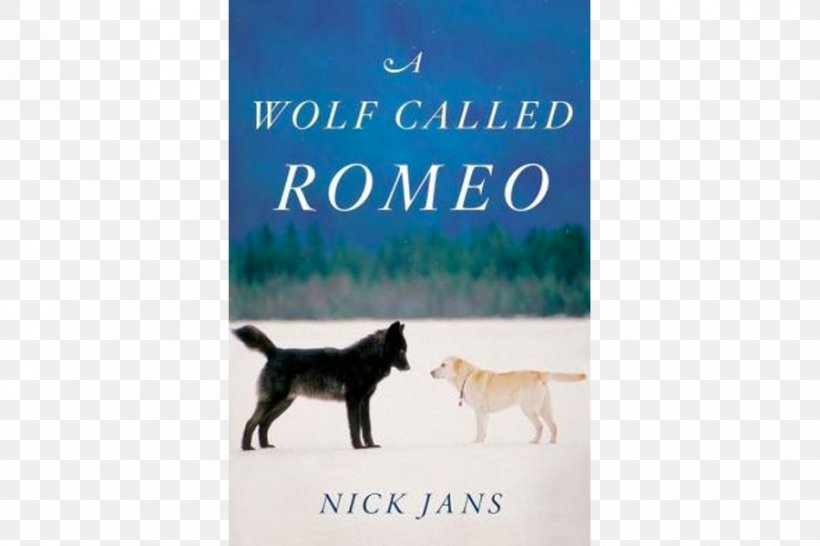 A Wolf Called Romeo Labrador Retriever Canidae Black Wolf, PNG, 900x600px, Wolf Called Romeo, Advertising, Animal, Black Wolf, Book Download Free