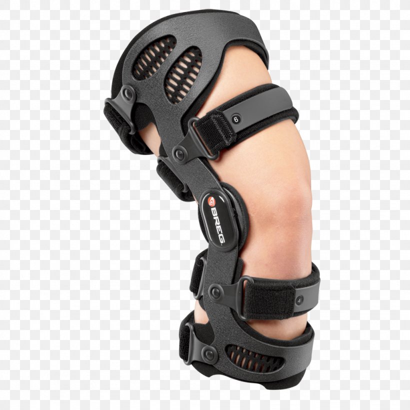 Knee Anterior Cruciate Ligament Posterior Cruciate Ligament Breg, Inc. Osteoarthritis, PNG, 1024x1024px, Knee, Anterior Cruciate Ligament, Anterior Cruciate Ligament Injury, Arm, Bone Download Free