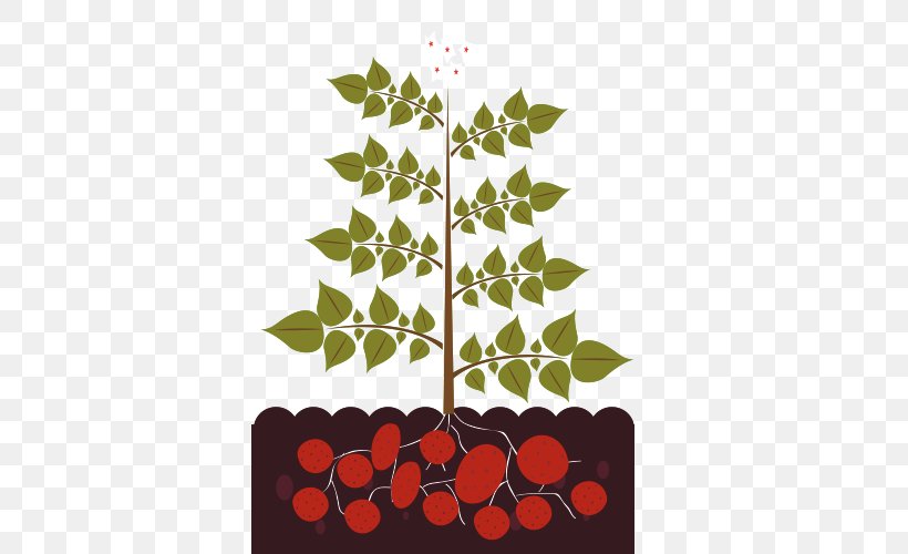 Plant Illustration, PNG, 500x500px, Plant, Border, Branch, Cartoon, Drawing Download Free