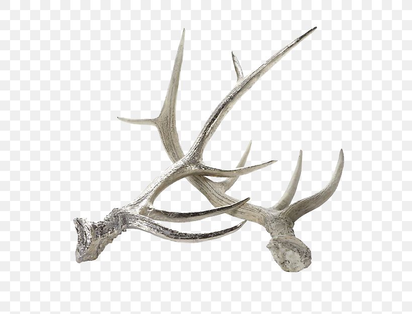 Red Deer Moose Reindeer Antler, PNG, 641x625px, Deer, Acrylic Trophy, Antler, Art, Craft Download Free