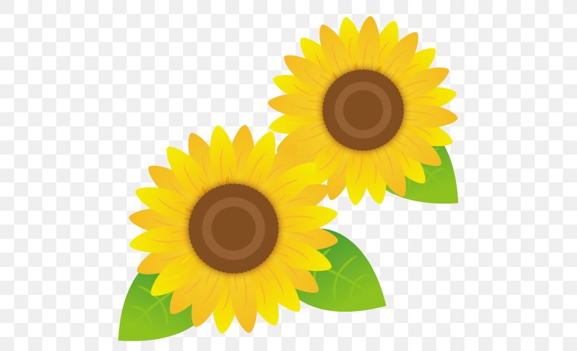 Sunflowers., PNG, 500x500px, Royaltyfree, Automobile Repair Shop, Daisy Family, Eye, Flower Download Free