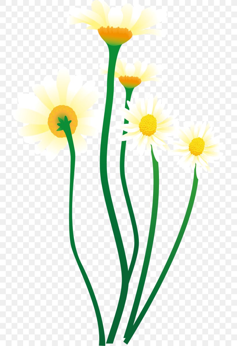 Cut Flowers Plant Stem Flowerpot Line Clip Art, PNG, 730x1200px, Cut Flowers, Daisy, Flora, Flower, Flowering Plant Download Free