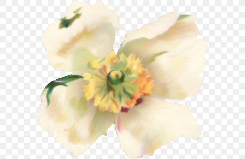 Easter Egg Flower Clip Art, PNG, 580x535px, Easter, Christmas, Easter Egg, Flower, Flowering Plant Download Free
