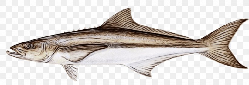 Fish Fish Fin Fish Products Cod, PNG, 1200x410px, Watercolor, Animal Figure, Cod, Fin, Fish Download Free