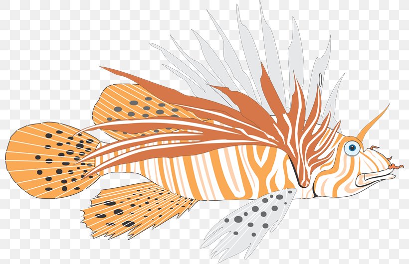 Fish Marine Biology Name Clip Art Illustration, PNG, 800x530px, Fish, Biology, Community, Evolution, Grandparent Download Free