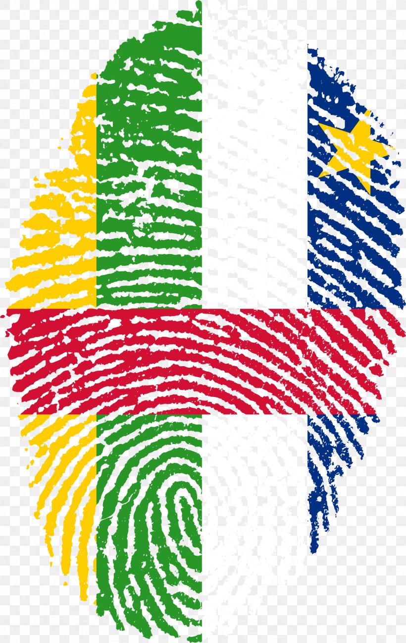 Flag Of Brazil United States Flag Of Brazil Fingerprint, PNG, 1573x2488px, Brazil, Area, Fingerprint, Flag, Flag Of Brazil Download Free