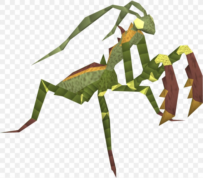 Insect European Mantis Animal, PNG, 912x802px, Insect, Animal, Art, Arthropod, Creative Arts Download Free