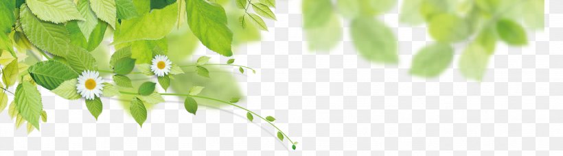 Interior Design Services Energy Green Wallpaper Png