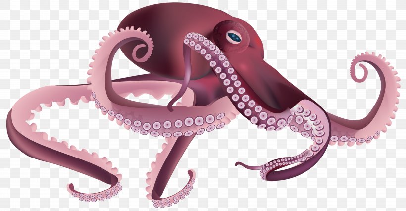 Octopus Squid Clip Art, PNG, 6000x3121px, Octopus, Animation, Blue Ringed Octopus, Cephalopod, Elephants And Mammoths Download Free