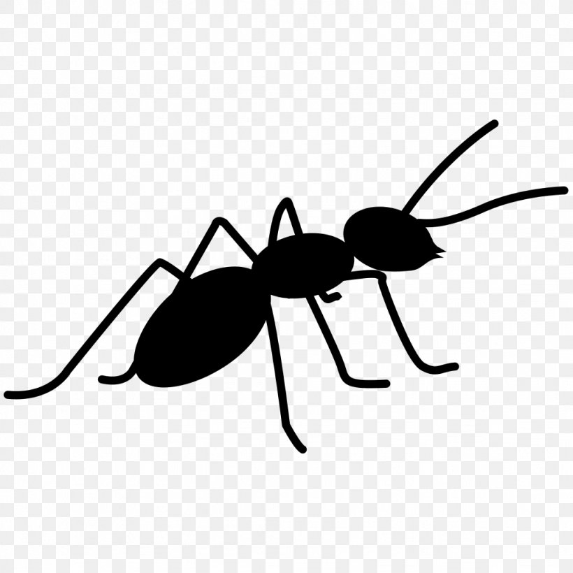 Ant Insect Bee, PNG, 1024x1024px, Ant, Arthropod, Bee, Black And White, Computer Program Download Free