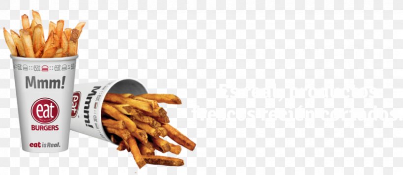 French Fries Hamburger Junk Food Eat Burgers Snack, PNG, 872x379px, French Fries, All I Want, Email, Fast Food, Flavor Download Free