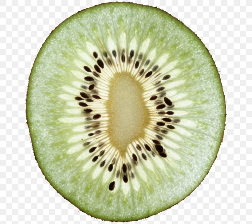 Kiwifruit Image Clip Art Vegetarian Cuisine, PNG, 664x729px, Kiwifruit, Actinidia Deliciosa, Art, Computer Software, Food Download Free