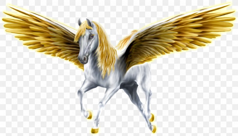 Pegasus Medusa Horse Perseus Greek Mythology, PNG, 1325x761px, Pegasus, Beak, Bird, Fauna, Feather Download Free