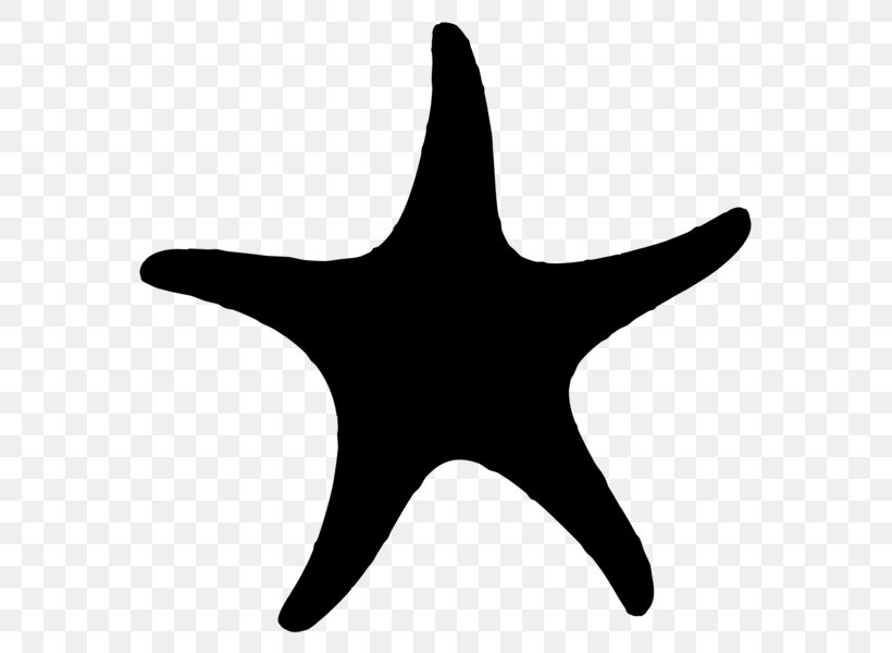 Starfish Clip Art Silhouette, PNG, 584x600px, Starfish, Cartoon, Cascading Style Sheets, Drawing, Echinoderm Download Free