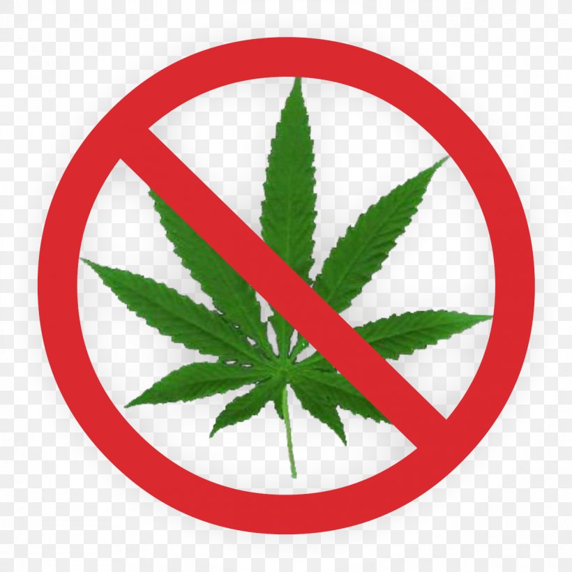 Cannabis Smoking Leaf Legalization Medical Cannabis, PNG, 1246x1246px, Cannabis, Cannabis Smoking, Drawing, Hashish, Hemp Download Free