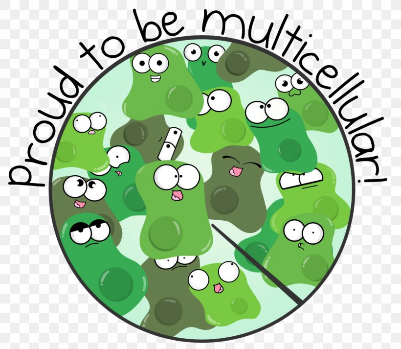 Cartoon Amoeba Multicellular Organism Drawing, PNG, 1280x1113px, Cartoon, Amoeba, Amphibian, Animation, Area Download Free