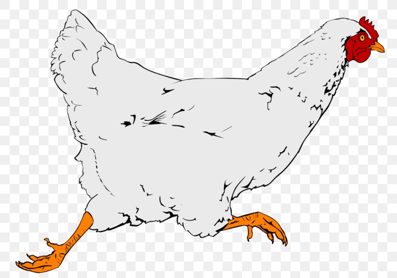 Fried Chicken Clip Art Chicken As Food, PNG, 800x574px, Chicken, Beak, Bird, Chicken As Food, Egg Download Free