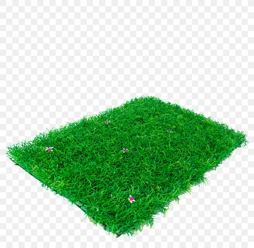 Lawn, PNG, 800x800px, Lawn, Grass, Green, Plant Download Free