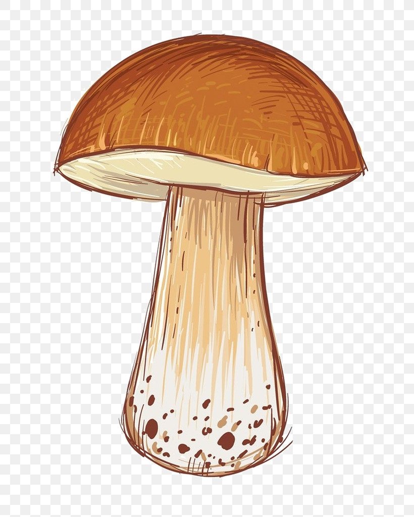 Mushroom Cartoon Download Illustration, PNG, 724x1024px, Mushroom, Architecture, Cartoon, Computer, Drawing Download Free