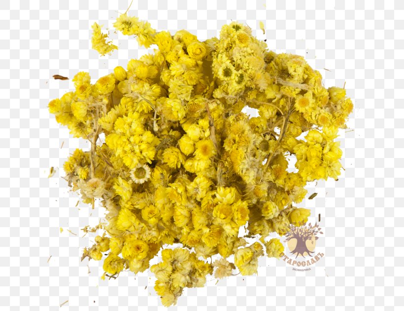 Vegetable Cartoon, PNG, 640x630px, Mustard Seed, Cuisine, Dish, Food, Helichrysum Arenarium Download Free