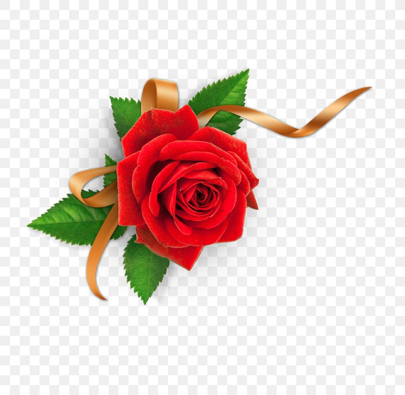 Garden Roses Names Of God In Islam Flower Allah Png 800x800px Garden Roses Allah Artificial Flower