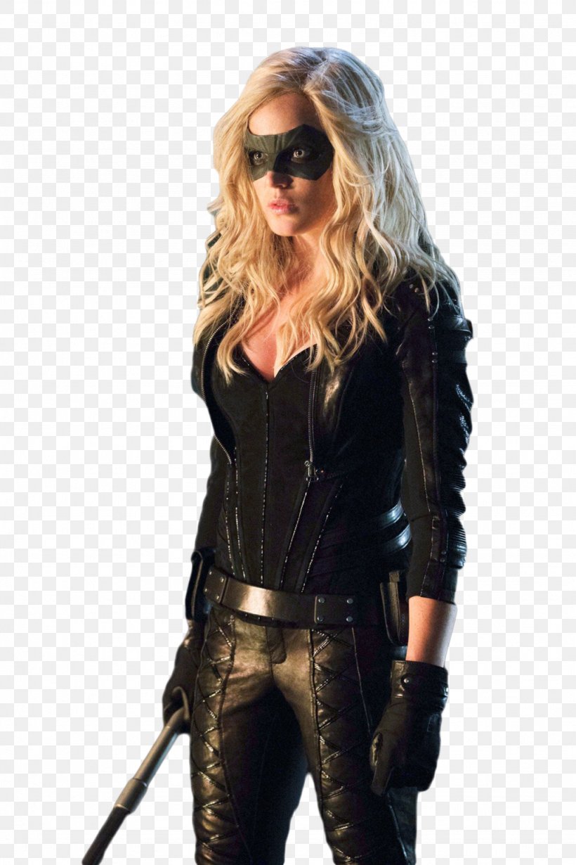 Green Arrow And Black Canary Green Arrow And Black Canary Sara Lance Costume, PNG, 1024x1537px, Watercolor, Cartoon, Flower, Frame, Heart Download Free