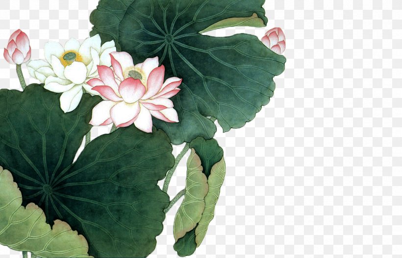 Nelumbo Nucifera Chinese Painting Chinese Art Poster, PNG, 1280x823px, Nelumbo Nucifera, Art, Bud, Canvas Print, Chinese Art Download Free