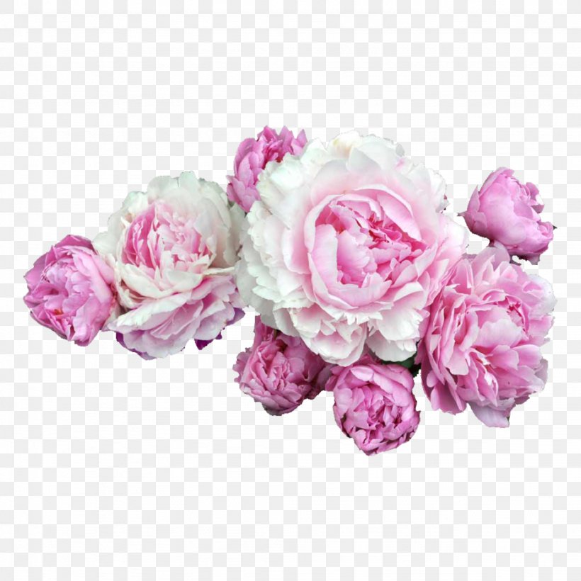 Pink Flowers Desktop Wallpaper Clip Art, PNG, 2048x2048px, Flower, Artificial Flower, Cut Flowers, Floral Design, Flower Arranging Download Free
