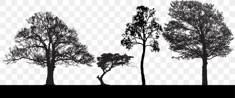 Tree Euclidean Vector Clip Art, PNG, 1191x500px, Tree, Arecaceae, Black And White, Branch, Graphic Arts Download Free