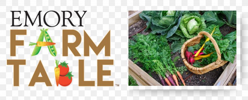 Vegetable Brand Emory University Promotional Merchandise, PNG, 2068x839px, Vegetable, Badge, Brand, Emory University, Food Download Free