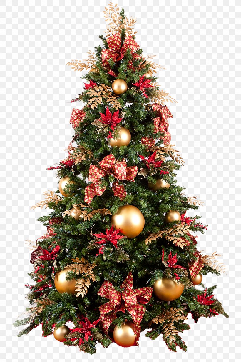 Christmas Tree Christmas Decoration Christmas Ornament, PNG, 1427x2141px, Christmas Tree, Christmas, Christmas Decoration, Christmas Lights, Christmas Ornament Download Free