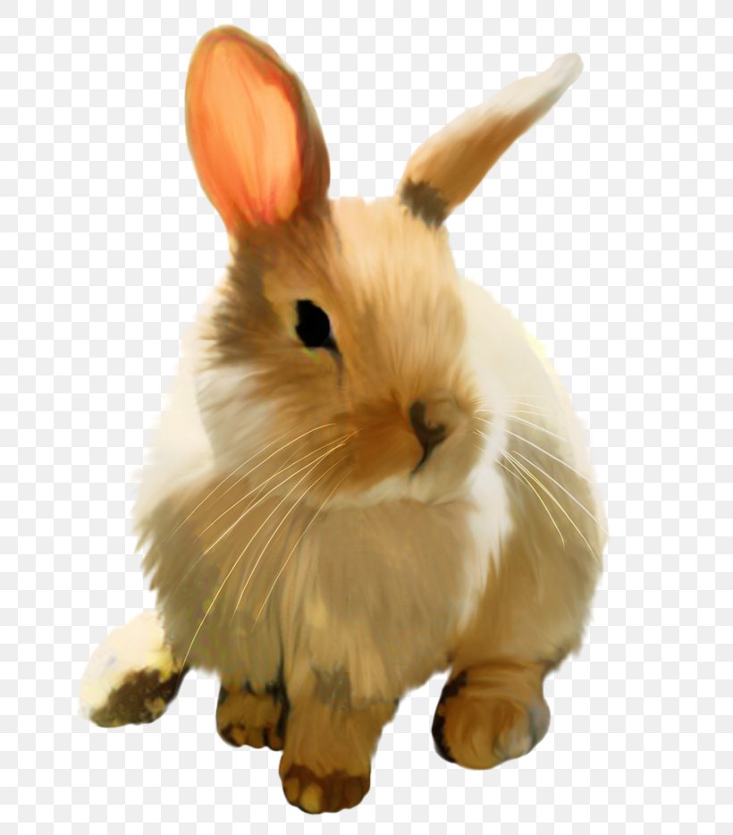 Holland Lop Hare Domestic Rabbit Mini Lop, PNG, 708x934px, Holland Lop, Animal Figure, Bugs Bunny, Domestic Rabbit, Dwarf Rabbit Download Free
