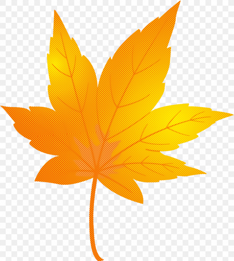 Maple Leaf Autumn Leaf Yellow Leaf, PNG, 920x1026px, Maple Leaf, Autumn, Autumn Leaf, Black Maple, Deciduous Download Free