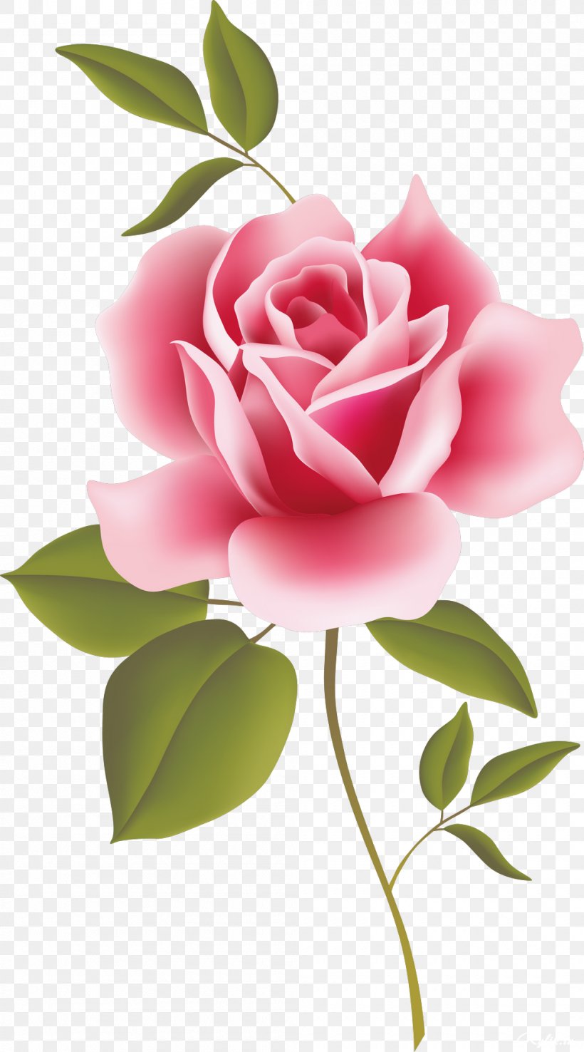 Illustration Vector Realistic Of Beautiful Rose Flowers Background With  Love Text Graphic Design Concept Of Flower Wallpaper Spring Season Concept  Stock Illustration  Download Image Now  iStock