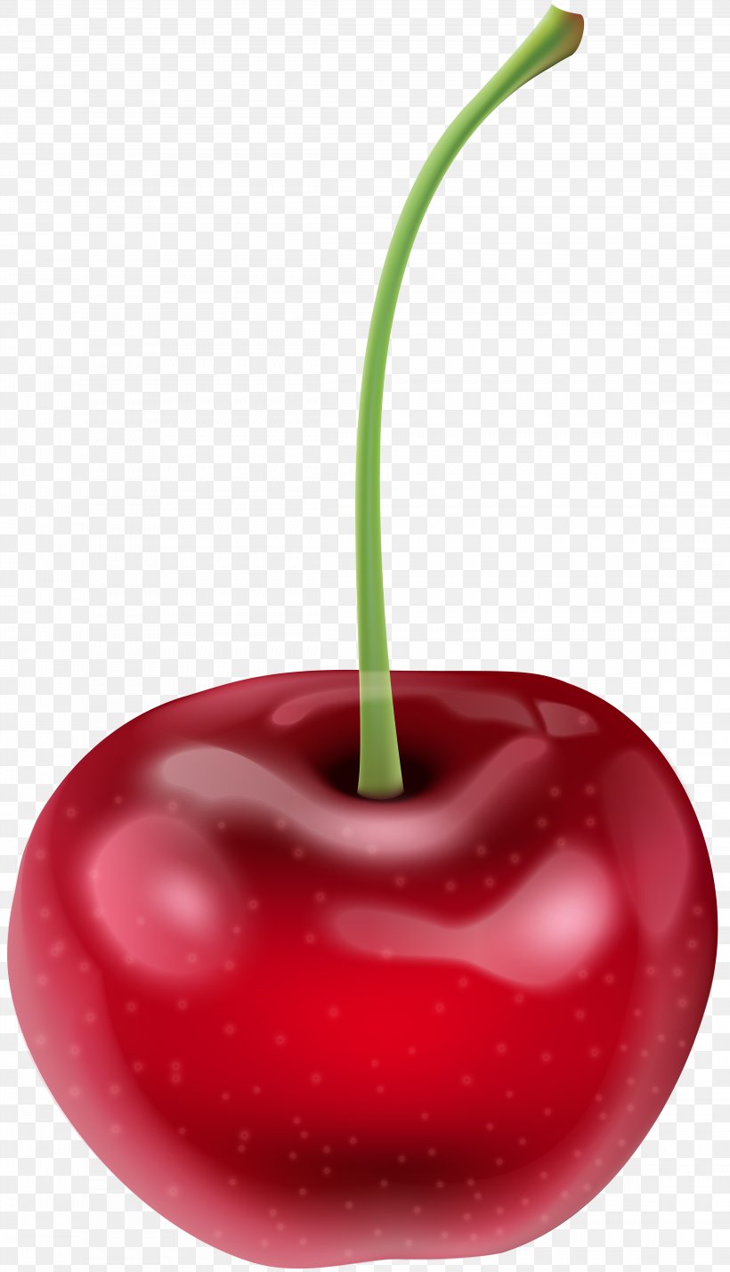 Cherry Clip Art, PNG, 4592x8000px, Cherry, Accessory Fruit, Art Museum, Auglis, Avocado Download Free
