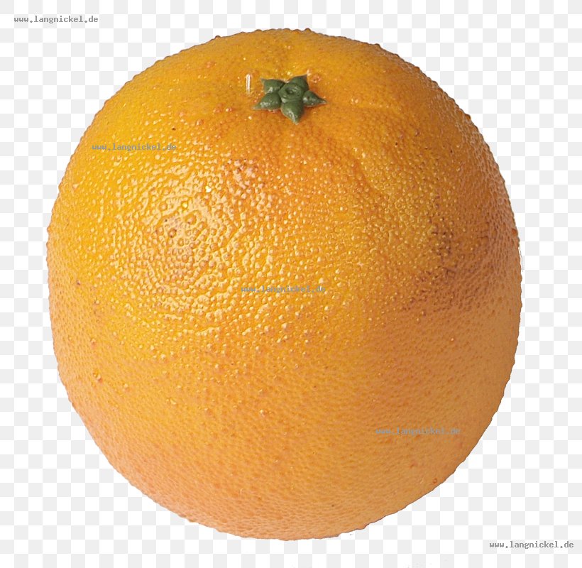 Clementine Mandarin Orange Tangerine Rangpur, PNG, 800x800px, Clementine, Bitter Orange, Citric Acid, Citron, Citrus Download Free