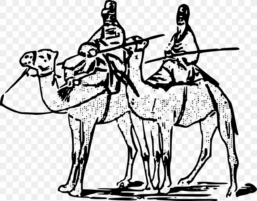 Dromedary Camel Clip Art, PNG, 2400x1880px, Dromedary, Arabian Camel, Art, Black And White, Camel Download Free