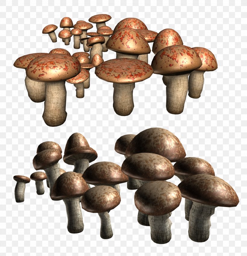 Edible Mushroom Shiitake Agaricus Clip Art, PNG, 2027x2105px, Edible Mushroom, Agaricus, Fungus, Ingredient, Mushroom Download Free