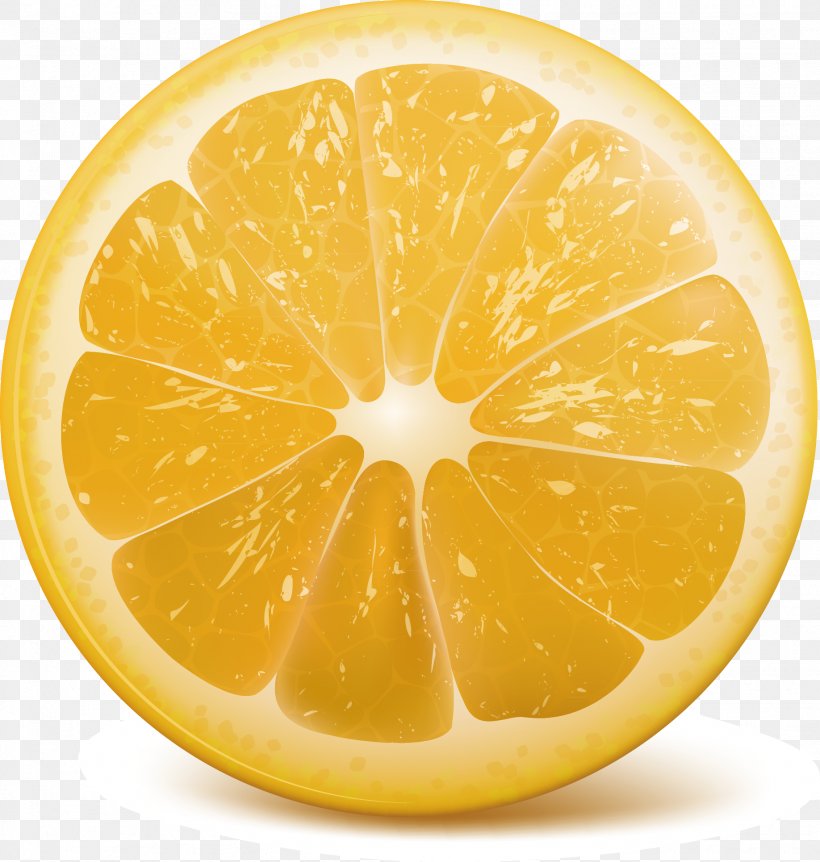 Lemon Orange Clip Art, PNG, 1836x1931px, Lemon, Citric Acid, Citrus, Drawing, Food Download Free