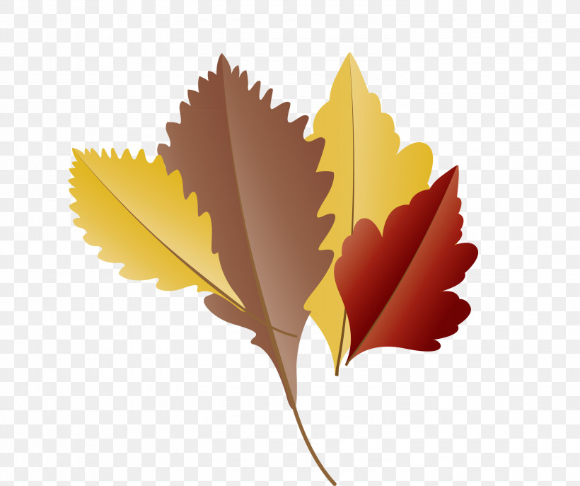Maple Leaf, PNG, 3000x2517px, Autumn Leaf, Biology, Cartoon Leaf, Computer, Fall Leaf Download Free