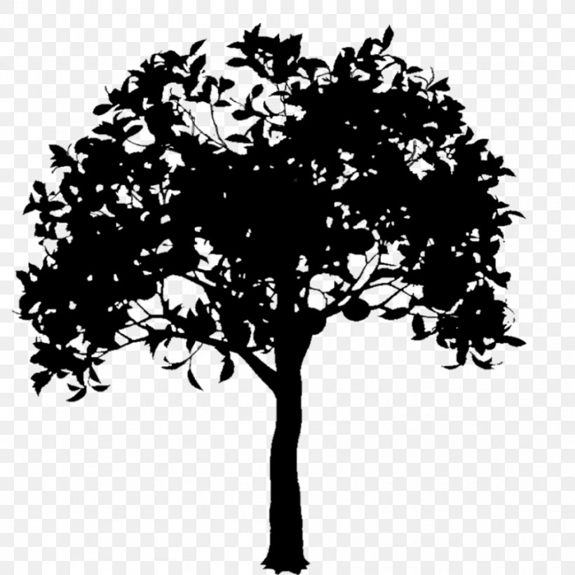 Branch Silhouette Illustration Vector Graphics Tree, PNG, 894x894px, Branch, Blackandwhite, Botany, Broadleaved Tree, Depositphotos Download Free