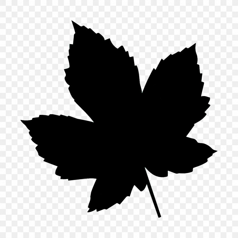 Maple Leaf, PNG, 1417x1417px, Leaf, Black, Blackandwhite, Flowering Plant, Logo Download Free