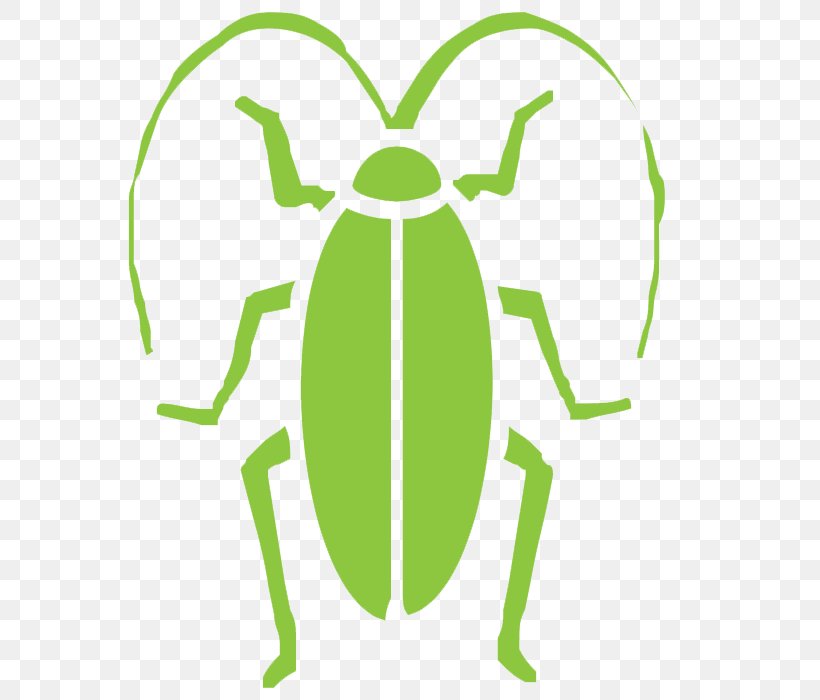 American Cockroach Clegg's Termite & Pest Control, PNG, 700x700px, Cockroach, American Cockroach, Amphibian, Artwork, Blattidae Download Free